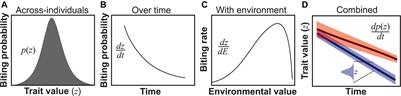 The Role of Vector Trait Variation in Vector-Borne Disease Dynamics